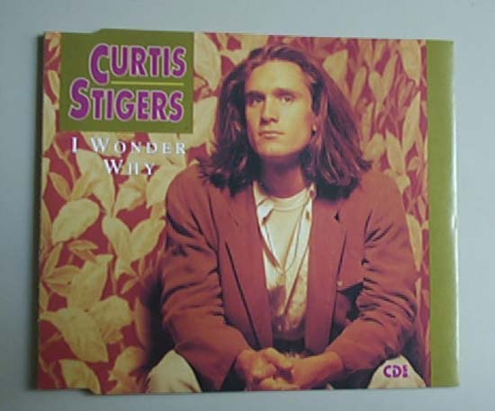 Curtis Stigers I Wonder Why Records Lps Vinyl And Cds Musicstack